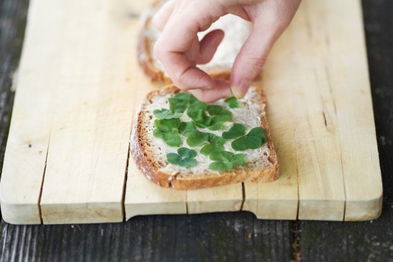 Schnell zubereitet: Brot mit Klee