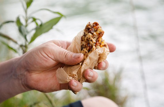 Selbstgemachter Müsli-Riegel: der perfekte Outdoor-Snack