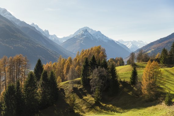 So traumhaft schön ist die Herbststimmung auf den Telfer Wiesen.