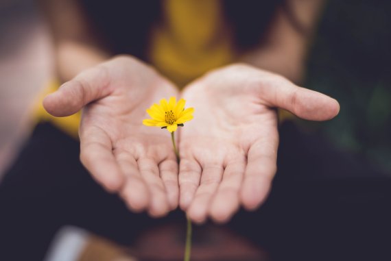 Blume in der Hand