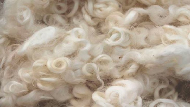 Because of their outstanding properties, people have been using wool for centuries.