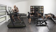 Trend 1: Gruppentraining: Immer beliebter wird Fitness in Gruppen. Der permanente Vergleich mit anderen motiviert, bringt neue Ideen für das eigene Training und fördert in der Konkurrenz das Streben danach, an die eigene Leistungsgrenze zu gehen. Anleitung und Ansporn geben in Fitnessstudios dabei zudem professionelle Trainer.