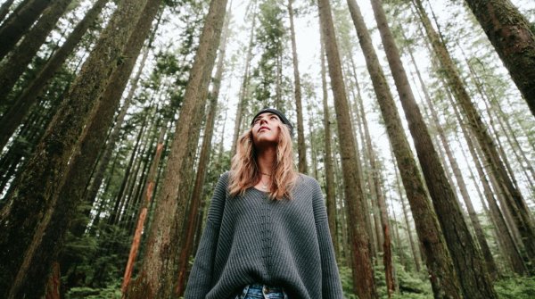 Der Name ist Programm: Für jedes verkaufte Produkt pflanzt Tentree aus Kanada zehn Bäume. 