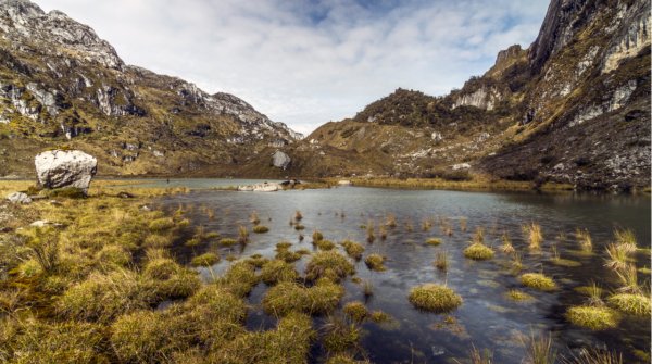 Ngga Pulu war lange der zweithöchste Berggipfel in m Sudirman-Gebirge im indonesischen Westteil der Insel Neuguinea