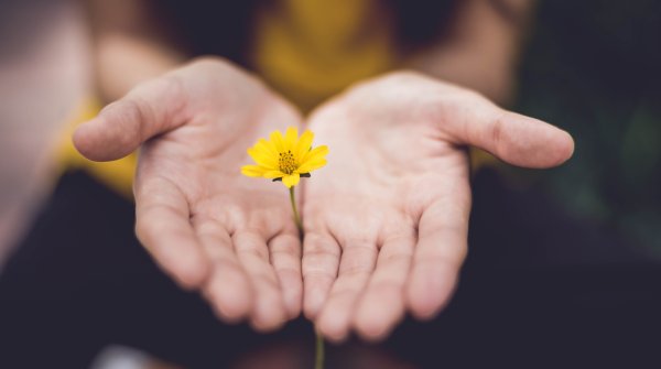 Blume in der Hand